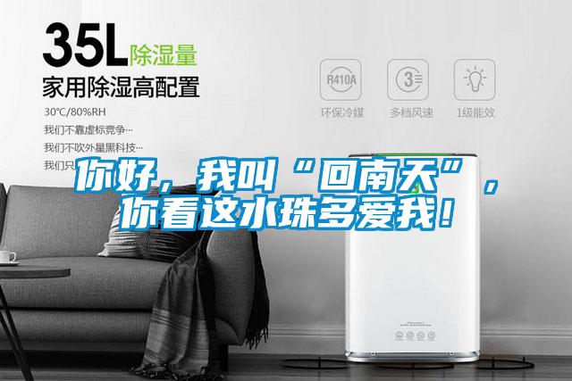 你好,我叫“回南天”,你看這水珠多愛我!