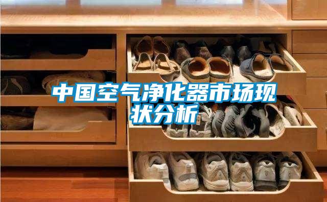 中國空氣凈化器市場現(xiàn)狀分析