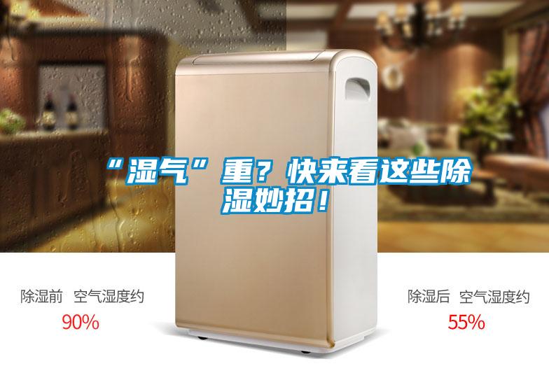 “濕氣”重？快來看這些除濕妙招！