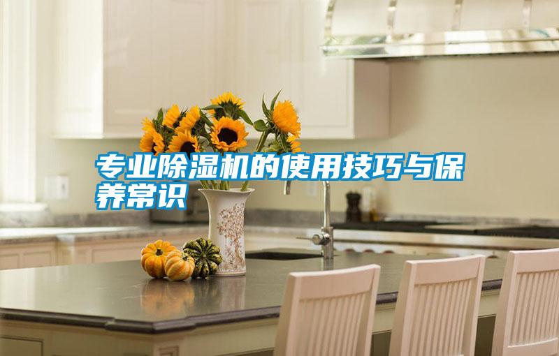 專業除濕機的使用技巧與保養常識