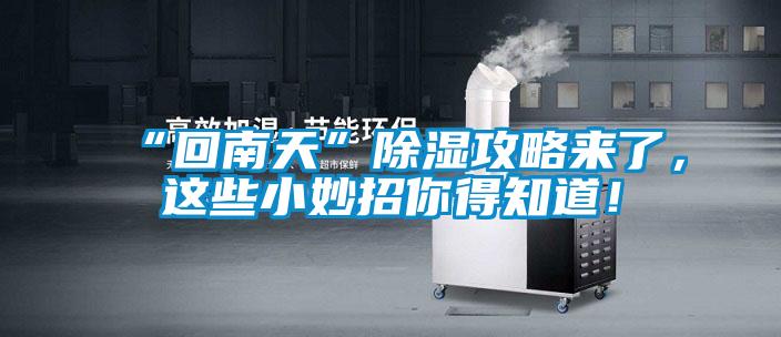 “回南天”除濕攻略來(lái)了，這些小妙招你得知道！