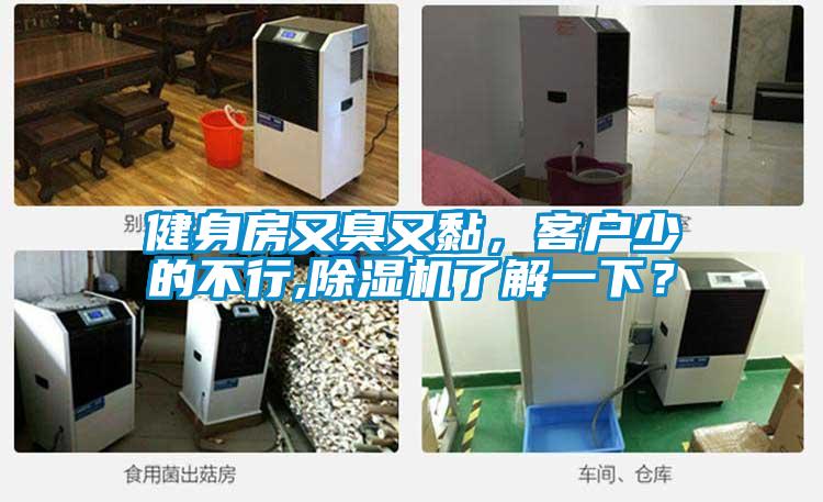 健身房又臭又黏,客戶少的不行,除濕機了解一下?