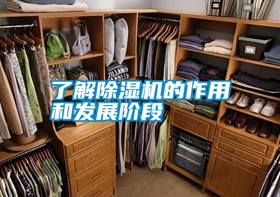 了解除濕機的作用和發展階段