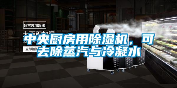 中央廚房用除濕機，可去除蒸汽與冷凝水