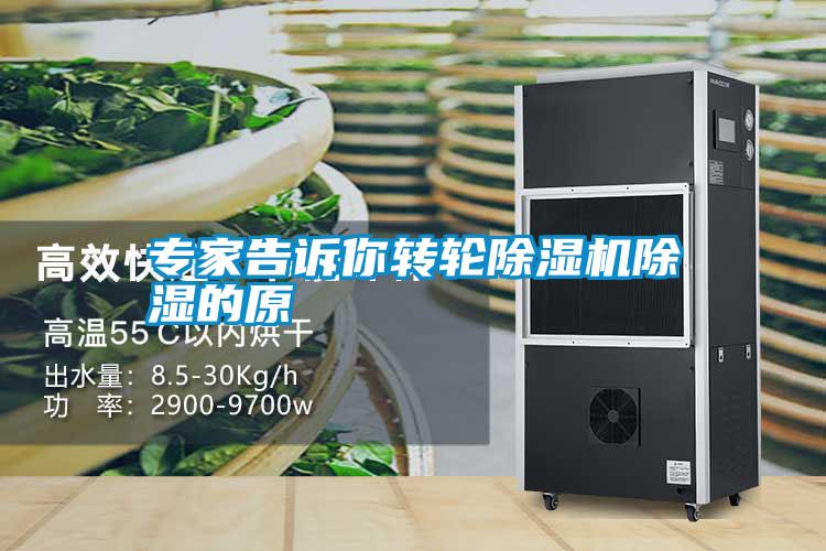 專家告訴你轉輪除濕機除濕的原