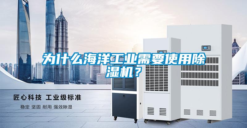 為什么海洋工業(yè)需要使用除濕機(jī)?