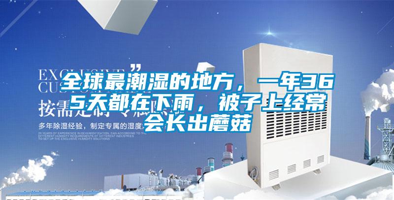 全球最潮濕的地方,一年365天都在下雨,被子上經(jīng)常會(huì)長(zhǎng)出蘑菇