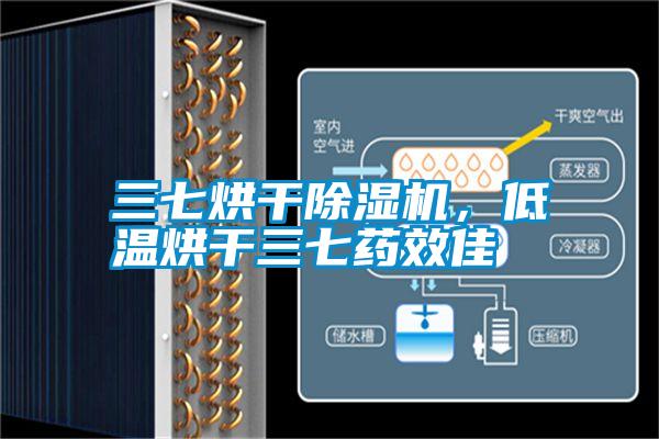 三七烘干除濕機，低溫烘干三七藥效佳