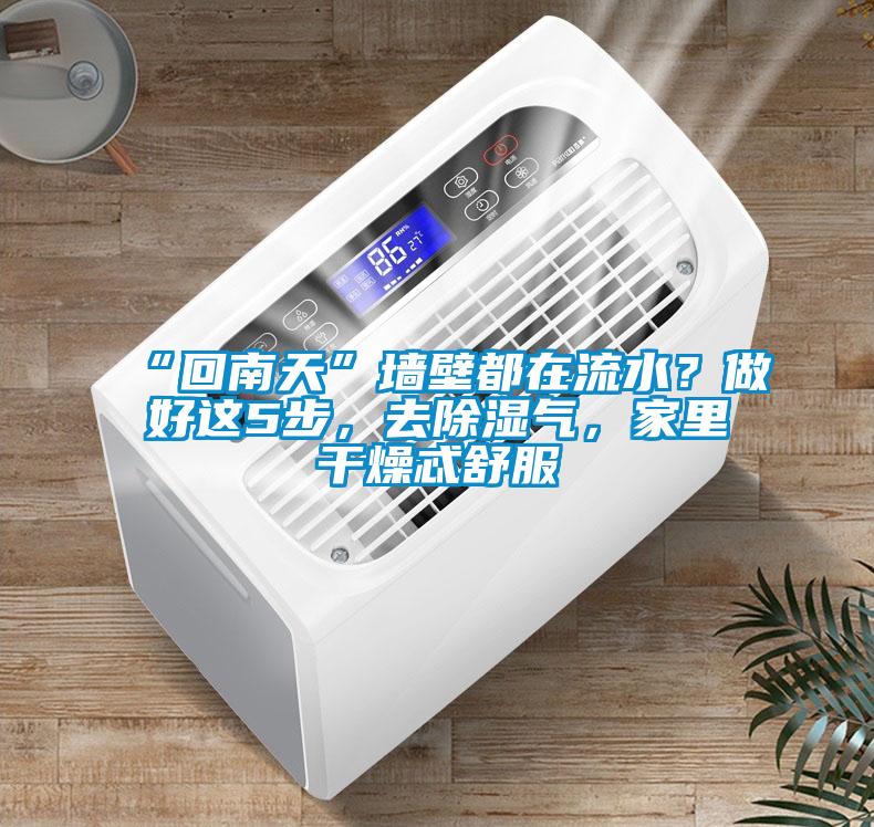 “回南天”墻壁都在流水?做好這5步,去除濕氣,家里干燥忒舒服