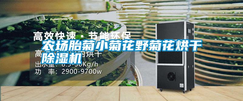 農場胎菊小菊花野菊花烘干除濕機