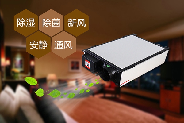 哈密瓜烘干除濕機 哈密瓜烘干除濕機