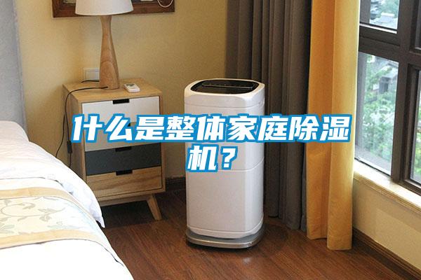 什么是整體家庭除濕機？