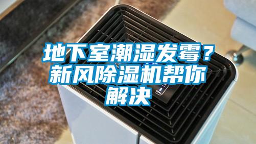 地下室潮濕發霉?新風除濕機幫你解決