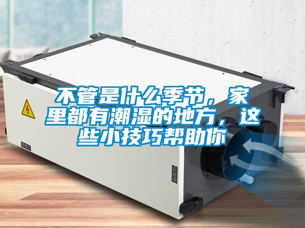 不管是什么季節，家里都有潮濕的地方，這些小技巧幫助你