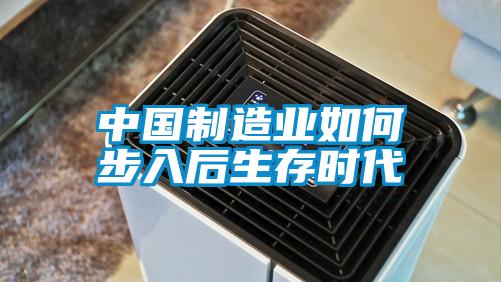 中國制造業如何步入后生存時代