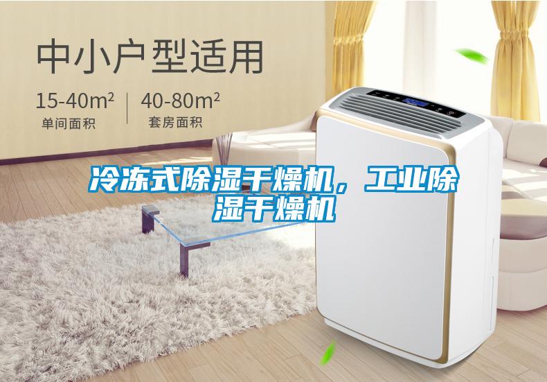 冷凍式除濕干燥機，工業除濕干燥機