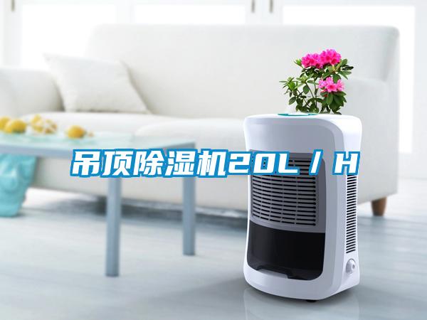 吊頂除濕機20L/H