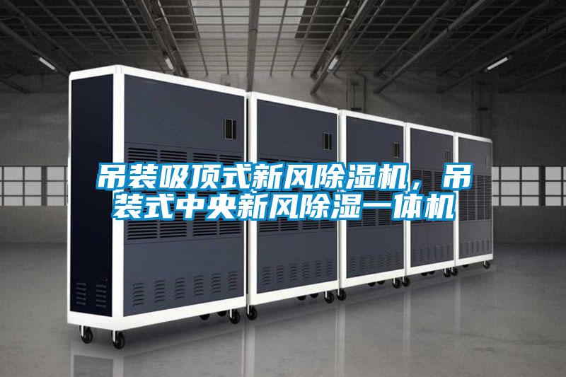 吊裝吸頂式新風(fēng)除濕機(jī),吊裝式中央新風(fēng)除濕一體機(jī)