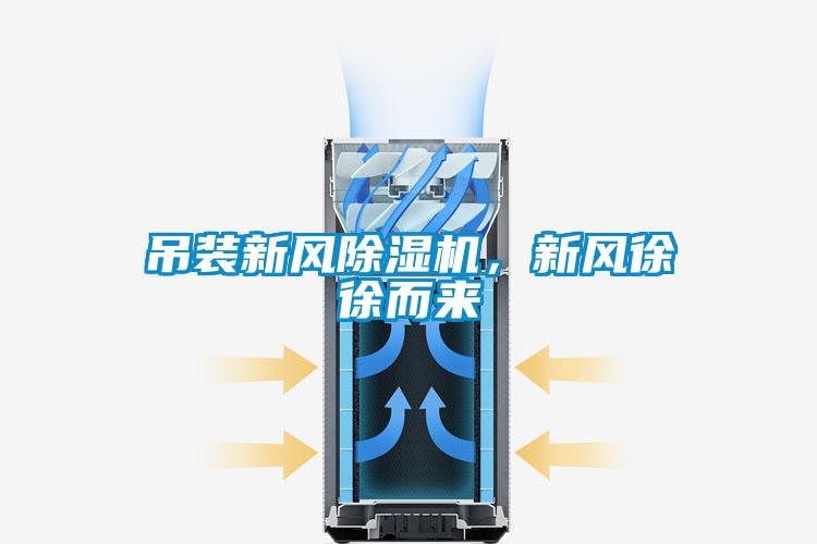 吊裝新風除濕機,新風徐徐而來