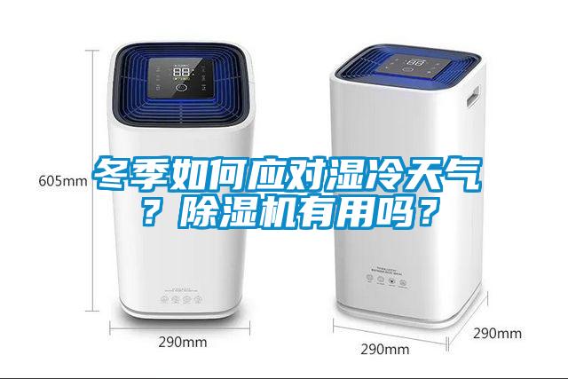 冬季如何應對濕冷天氣?除濕機有用嗎?