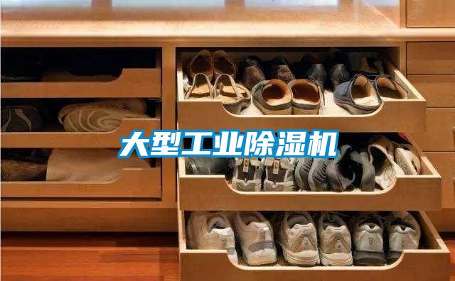 大型工業(yè)除濕機(jī)