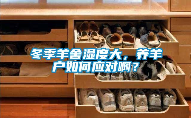 冬季羊舍濕度大，養羊戶如何應對啊？