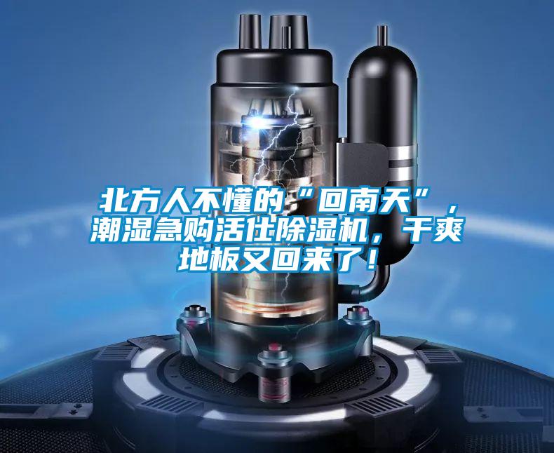 北方人不懂的“回南天”,潮濕急購活仕除濕機,干爽地板又回來了!