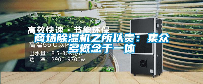 商場(chǎng)除濕機(jī)之所以貴:集眾多概念于一體