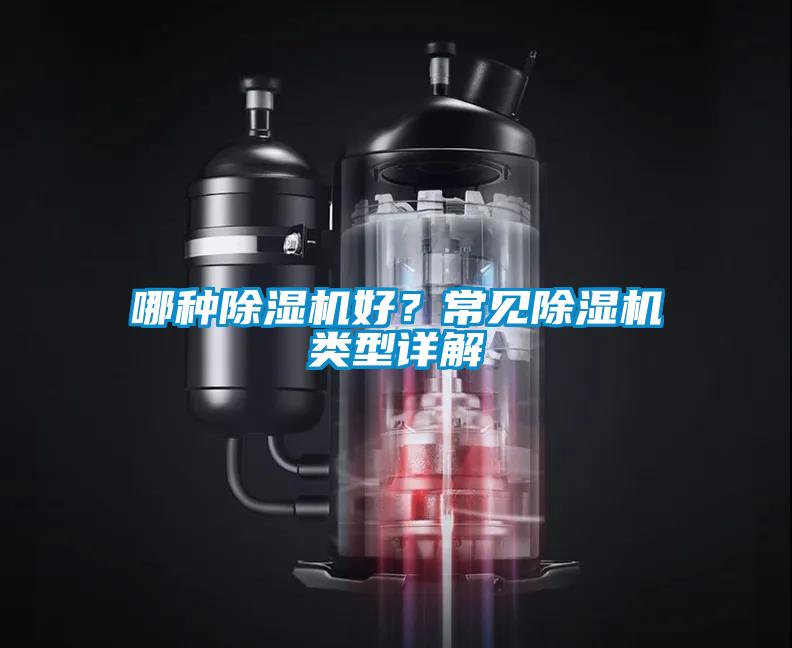 哪種除濕機好？常見除濕機類型詳解