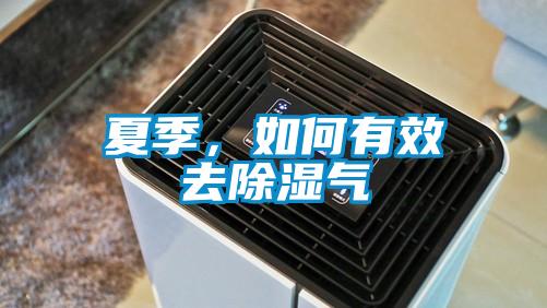 夏季,如何有效去除濕氣
