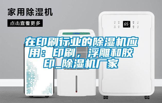 在印刷行業的除濕機應用：印刷，浮雕和膠印_除濕機廠家