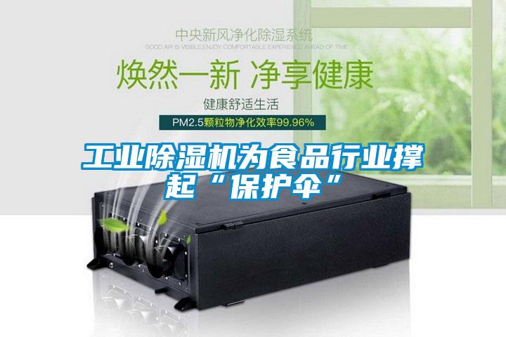 工業除濕機為食品行業撐起“保護傘”