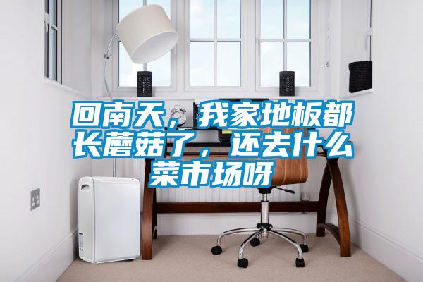 回南天，我家地板都長蘑菇了，還去什么菜市場呀