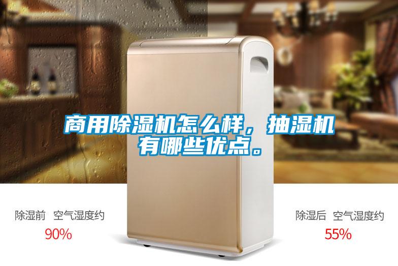 商用除濕機怎么樣,抽濕機有哪些優點。