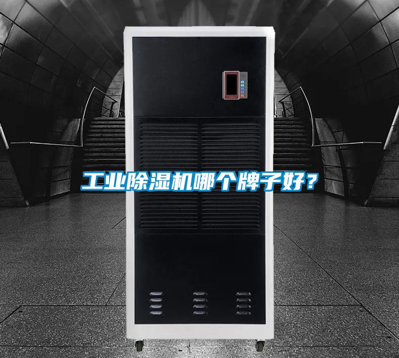 工業除濕機哪個牌子好?