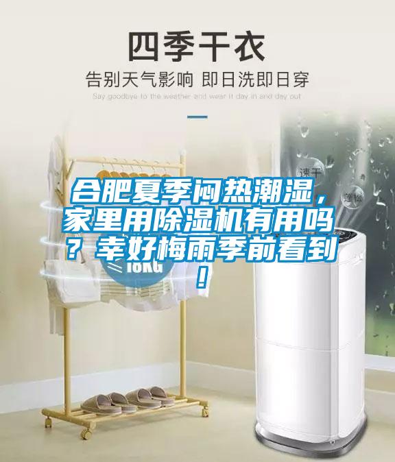 合肥夏季悶熱潮濕,家里用除濕機有用嗎?幸好梅雨季前看到!