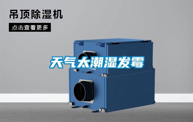 天氣太潮濕發霉