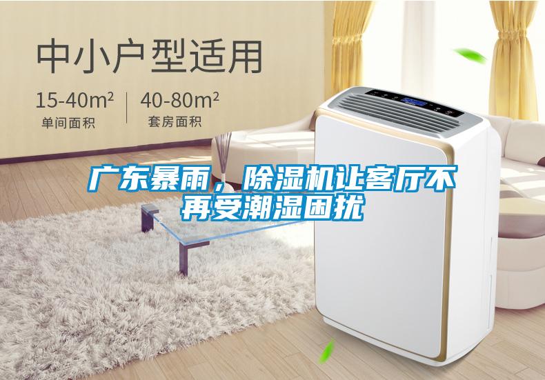 廣東暴雨，除濕機讓客廳不再受潮濕困擾