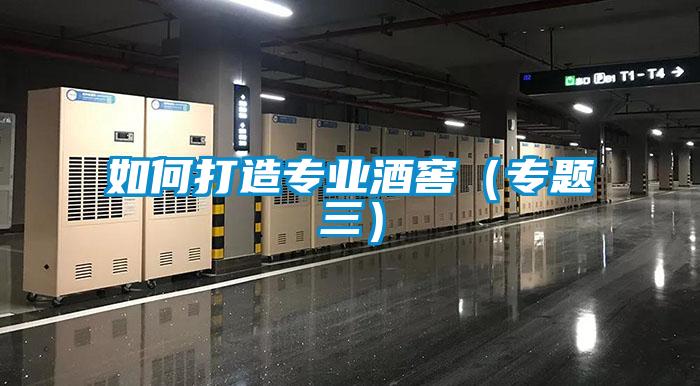 如何打造專業(yè)酒窖(專題三)