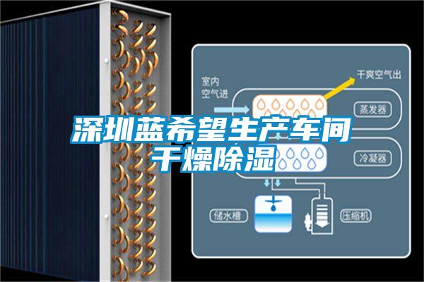 深圳藍希望生產車間干燥除濕