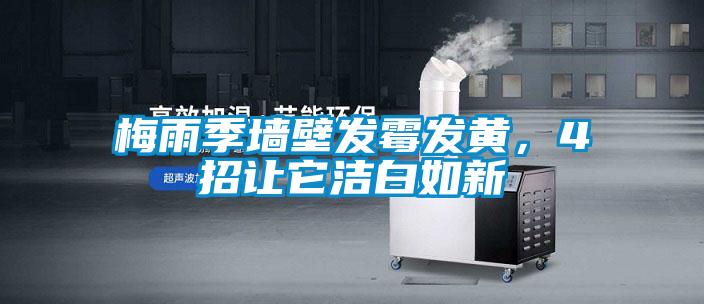 梅雨季墻壁發霉發黃，4招讓它潔白如新