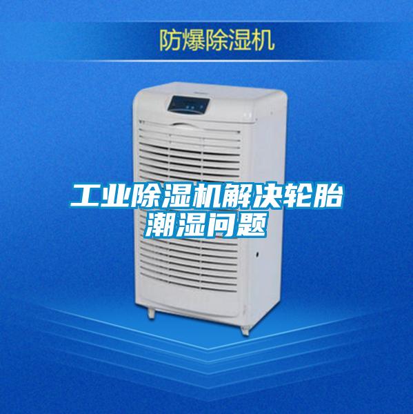 工業除濕機解決輪胎潮濕問題