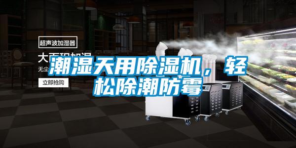 潮濕天用除濕機(jī)，輕松除潮防霉