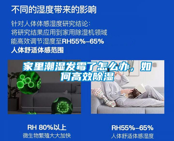 家里潮濕發霉了怎么辦，如何高效除濕