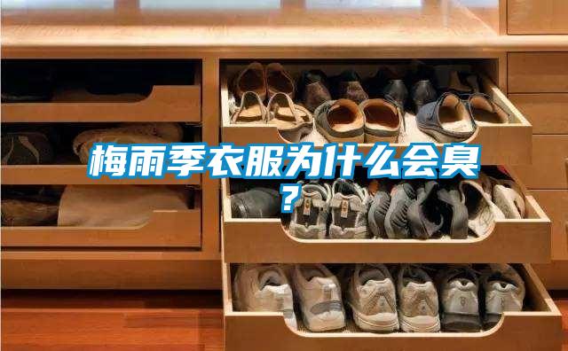 梅雨季衣服為什么會臭?