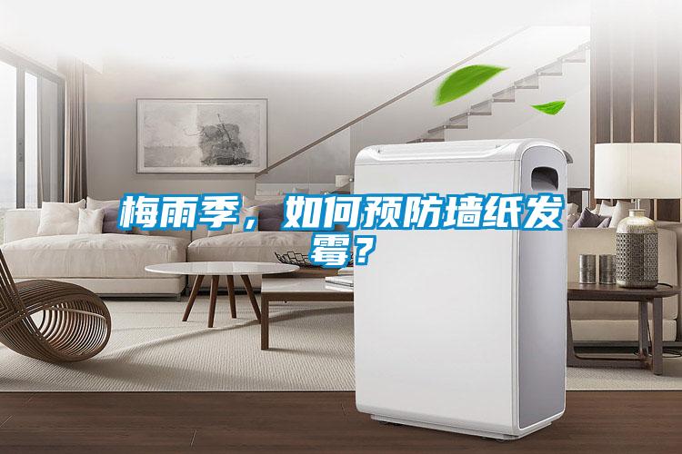 梅雨季，如何預防墻紙發霉？