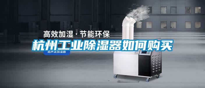 杭州工業除濕器如何購買
