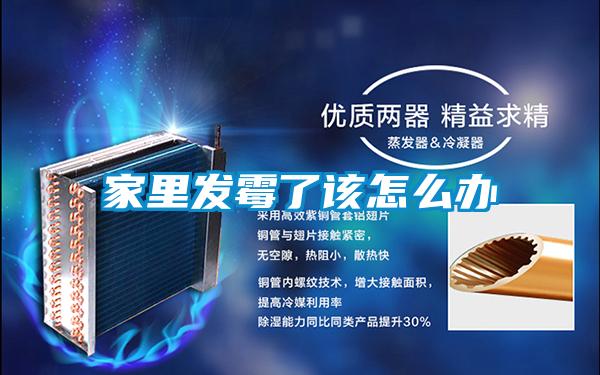 家里發霉了該怎么辦