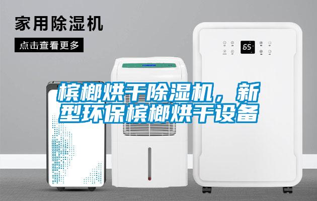 檳榔烘干除濕機，新型環保檳榔烘干設備