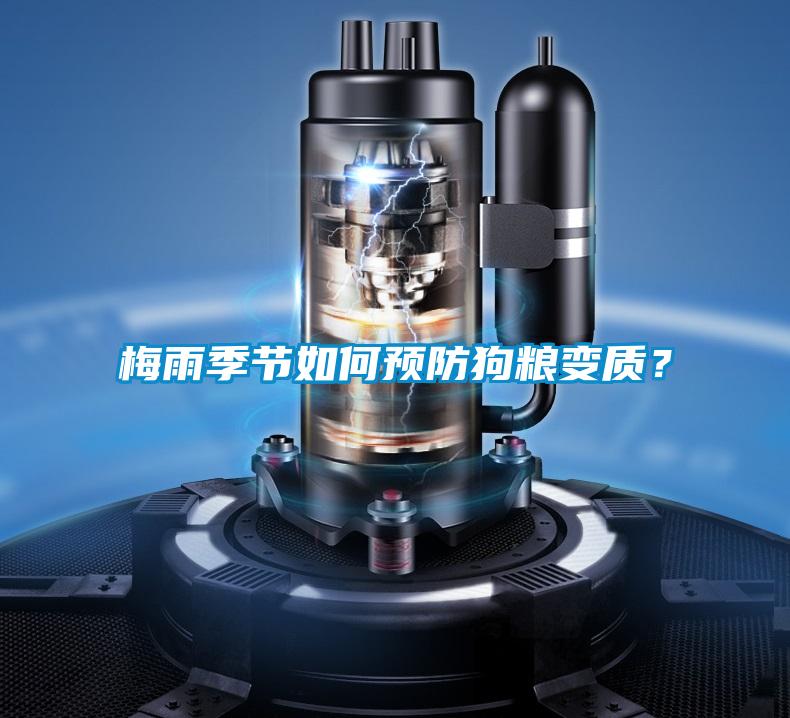 梅雨季節如何預防狗糧變質？